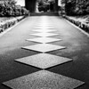 最勝院参道の石畳　Ⅱ