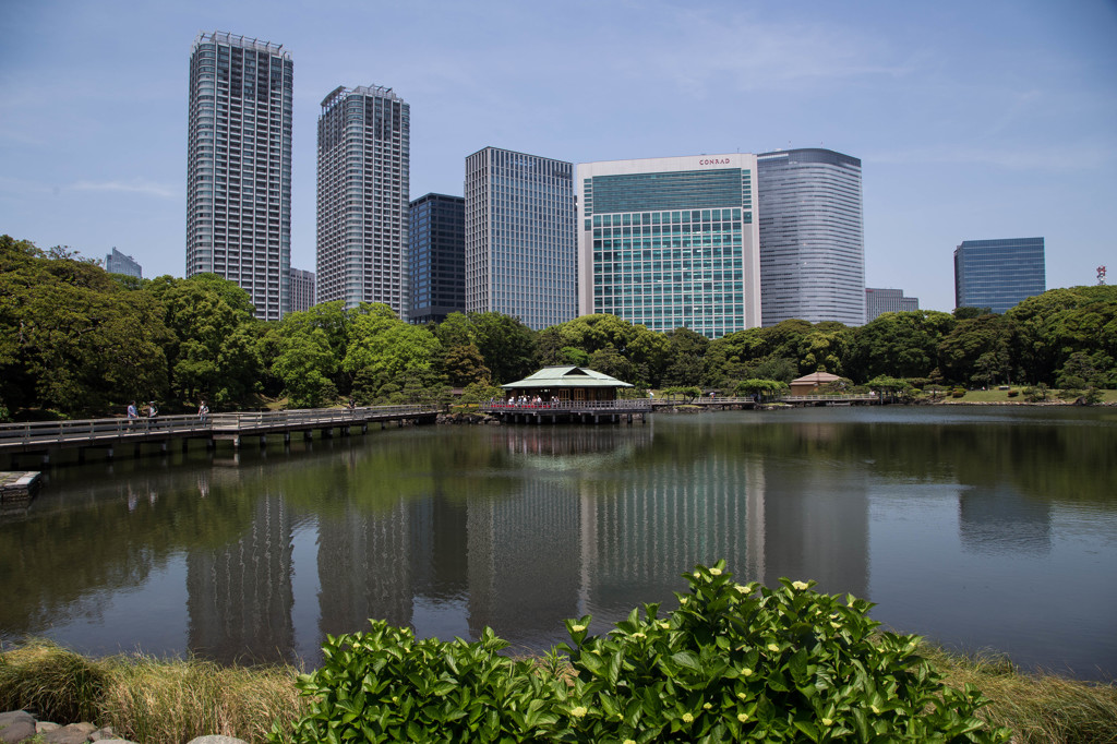 浜離宮恩賜庭園で。　Ⅴ