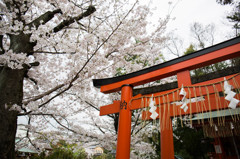 京都・神泉苑の春景色　Ⅱ