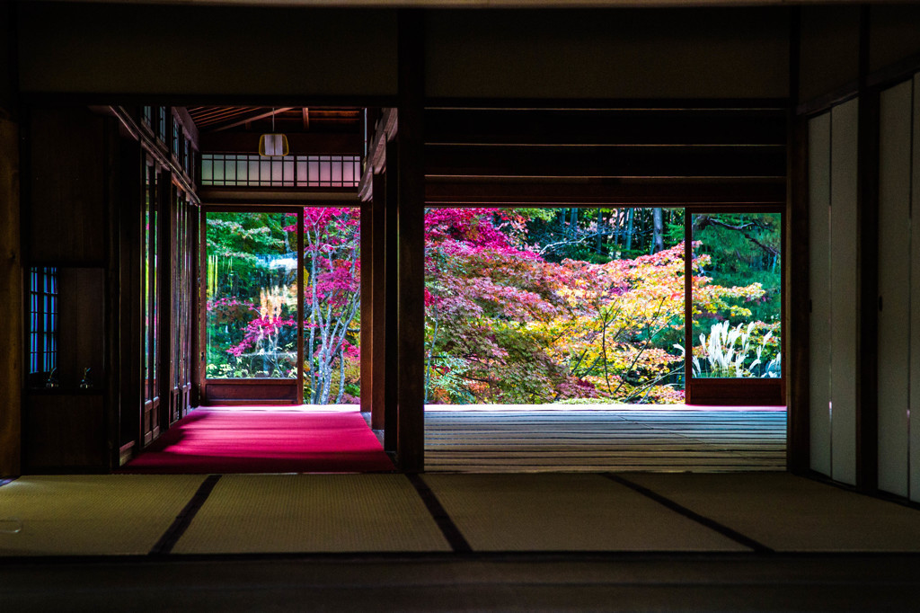 天授庵・2014秋　Ⅰ