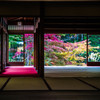 天授庵・2014秋　Ⅰ