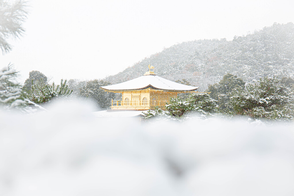雪海に浮かぶ。