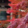 智積院 紅葉の海　Ⅰ