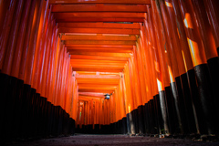 千本鳥居　Ⅲ