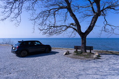 MINI meets 「あのベンチ」