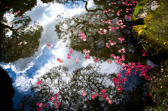 銀閣寺・2014秋　Ⅶ