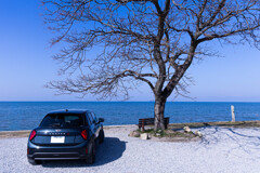 MINI @「あのベンチ」