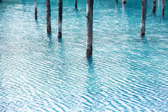 夏の青い池の水面