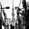 裏通り。