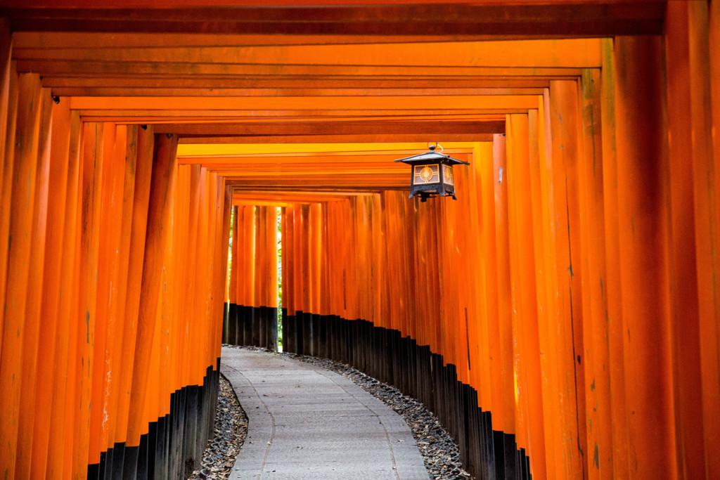 千本鳥居へようこそ。　Ⅱ