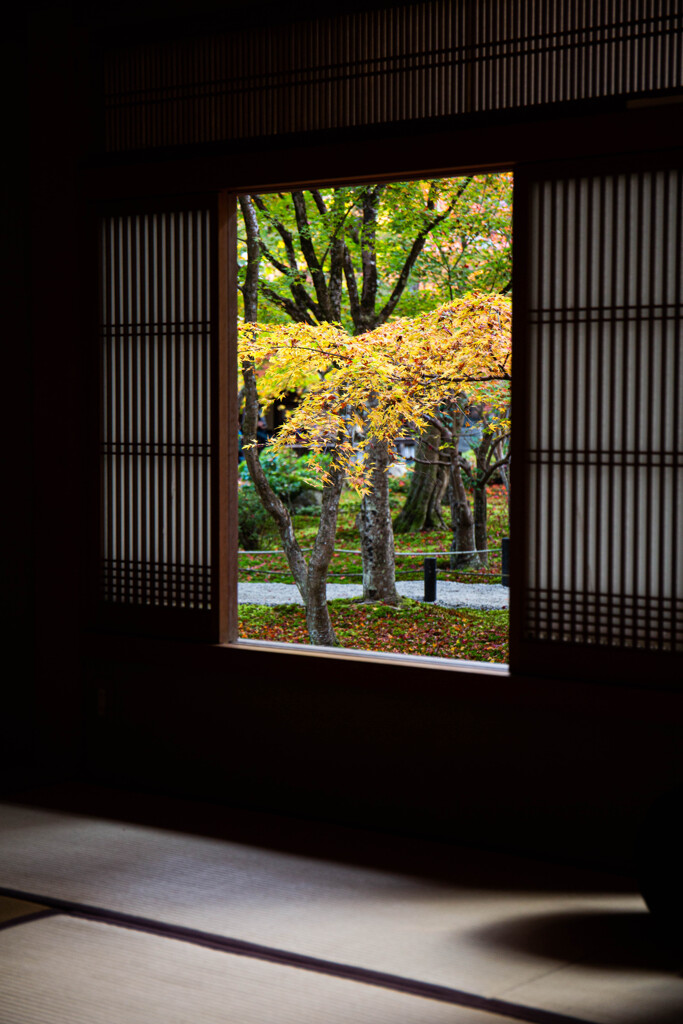 圓光寺の紅葉を切り撮る　Ⅱ