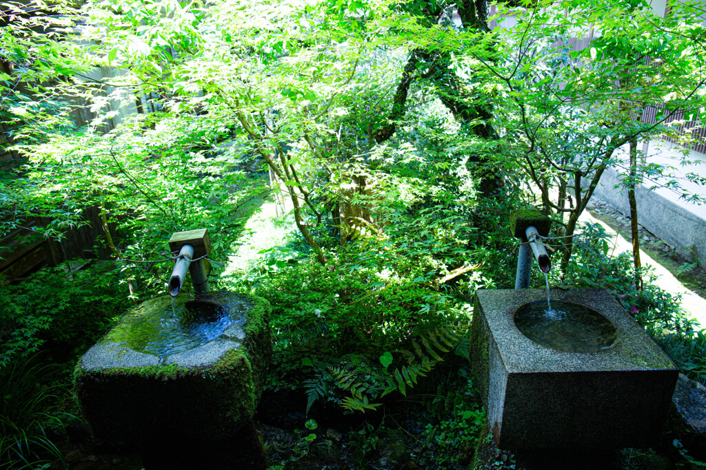 三千院の手水鉢　Ⅱ