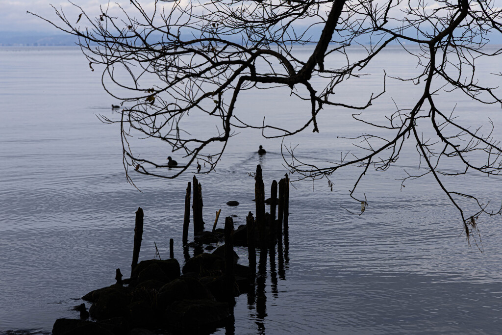 Lakeside