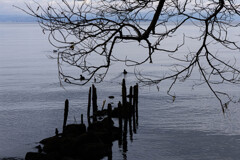 Lakeside