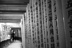 『千本鳥居で』