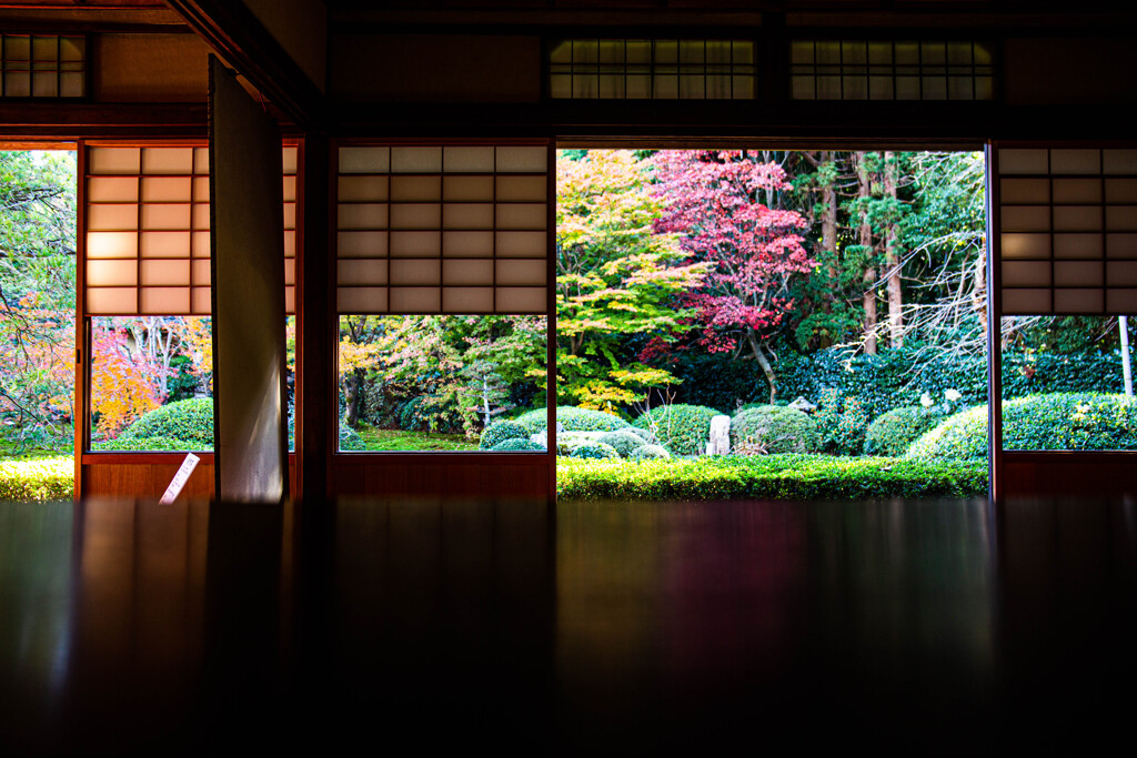 雲龍院大輪の間から愛でる紅葉　Ⅱ
