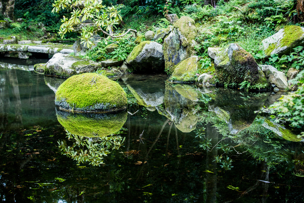 池の苔島