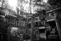 『朝の稲荷山で』