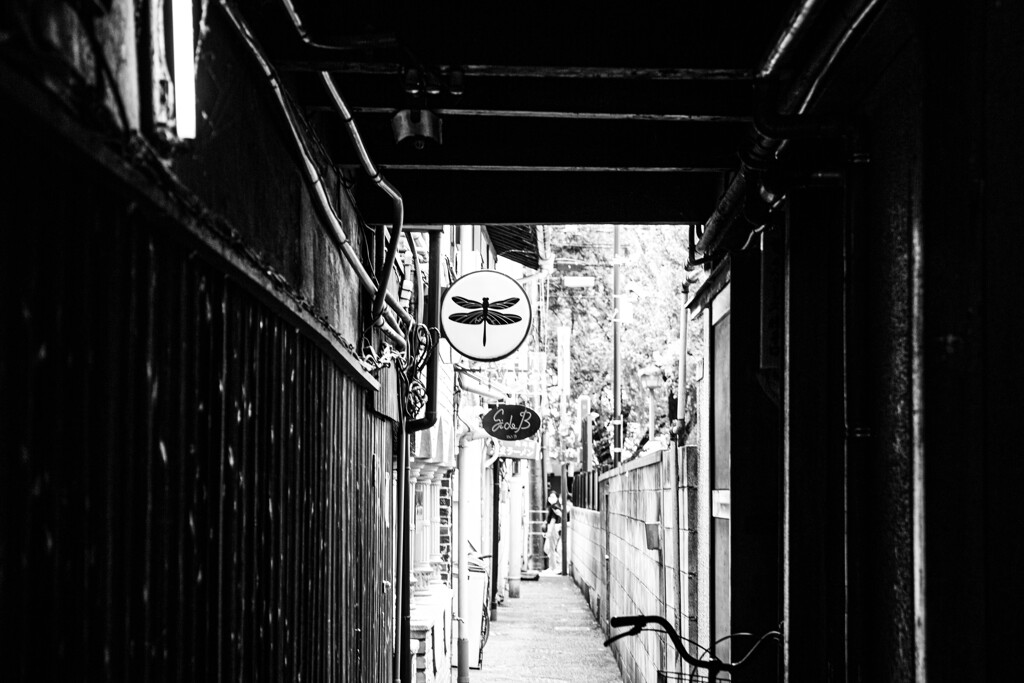 『トンボの路地』①