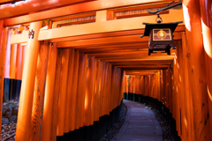 千本鳥居の朝　Ⅳ