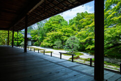 南禅寺方丈前の枯山水