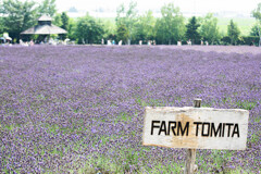 FARM TOMITA
