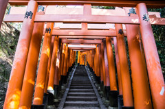 鳥居を登る。