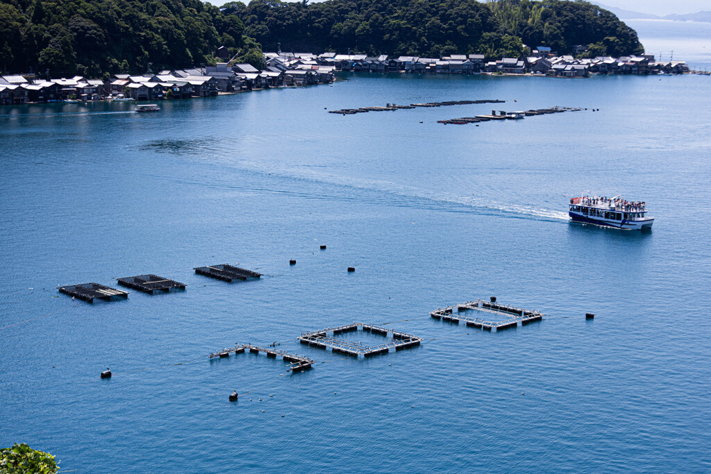 夏 伊根湾の景色