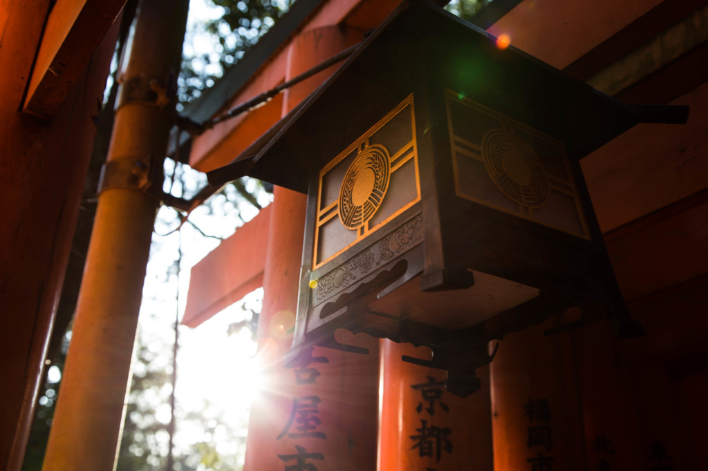 夕陽さす鳥居で。