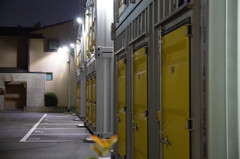 ご近所散歩　Ⅱ