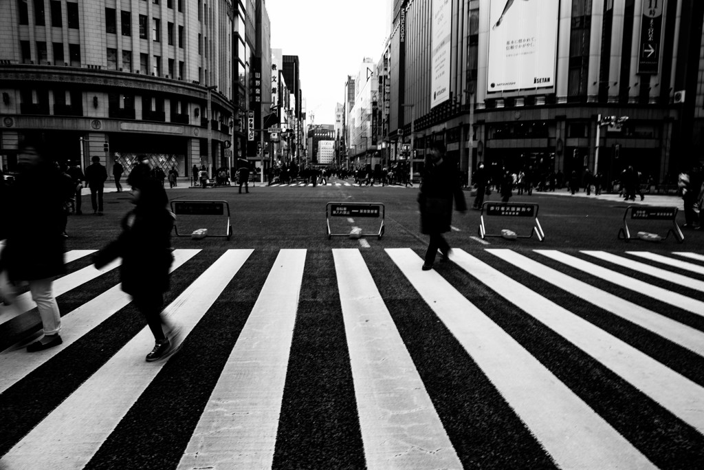 Zebra Crossing　Ⅰ