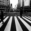 Zebra Crossing　Ⅰ