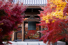 晩秋の智積院で