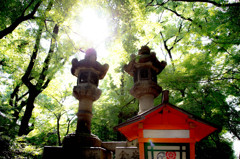 八坂神社　－常夜灯