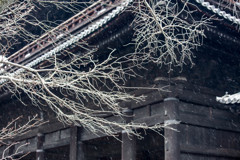 『南禅寺の冬』