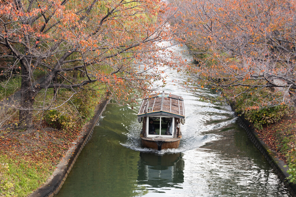 晩秋の伏見にて　Ⅱ