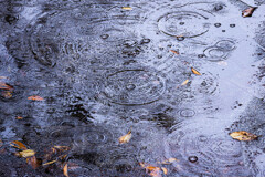 秋雨の音