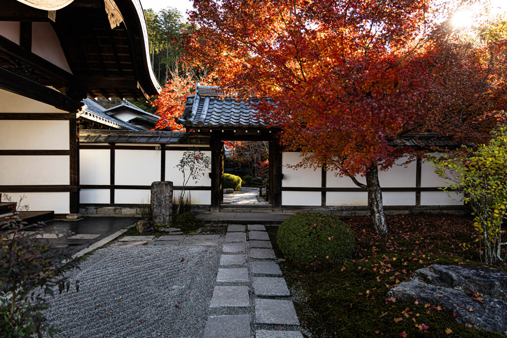 晩秋の圓光寺にて　Ⅷ