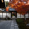 晩秋の圓光寺にて　Ⅷ