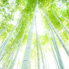 天までとどけ。