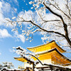 雪の桜咲く金閣寺。