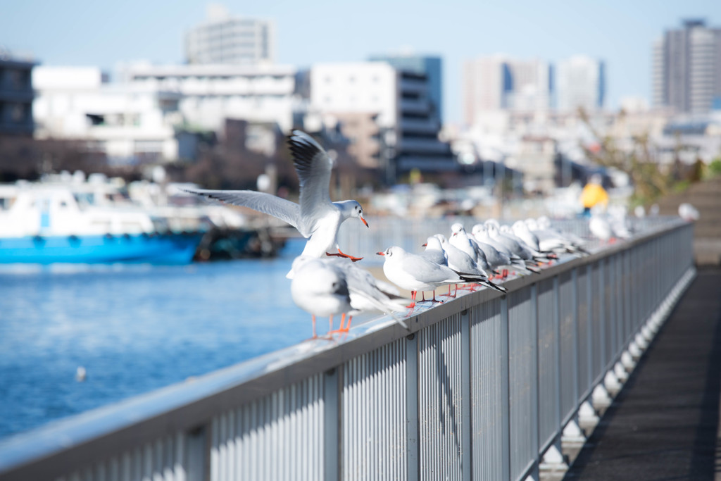 「おじゃましま～す」