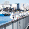 「おじゃましま～す」