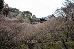 臥雲橋からの通天橋