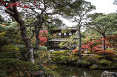 銀閣寺・2014秋　Ⅹ