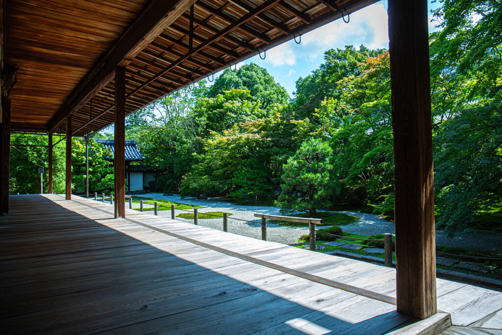 夏の天授庵で。Ⅸ