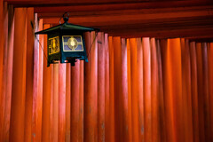 朝の千本鳥居で　Ⅷ