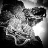 Dragons