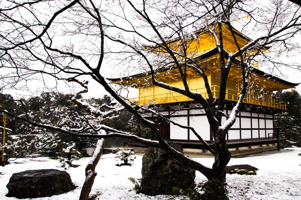 雪の金閣
