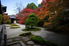 天授庵の紅を切り撮る。　Ⅱ